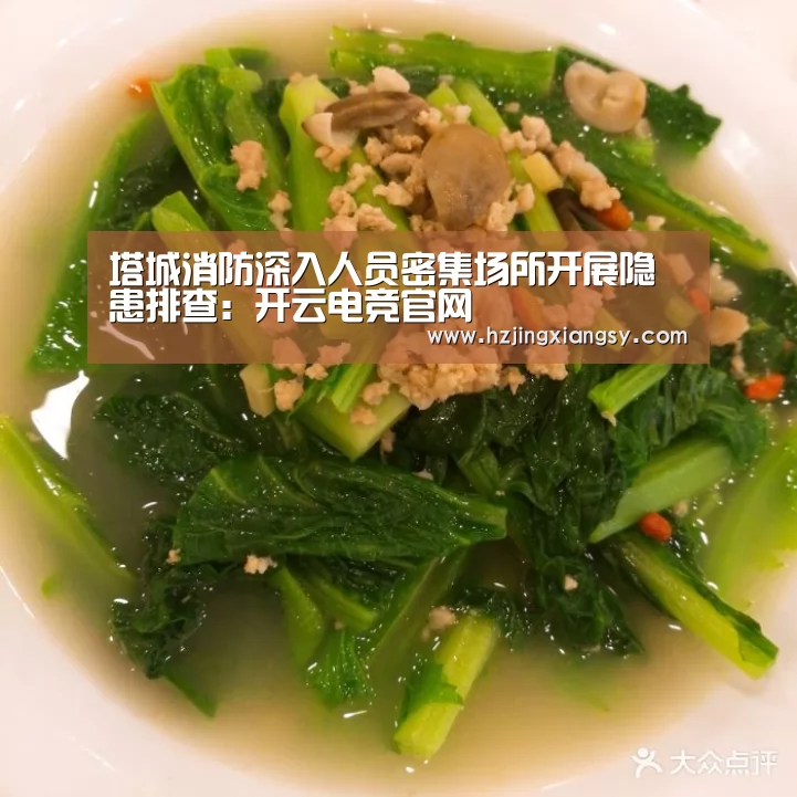 开云电竞app下载安装