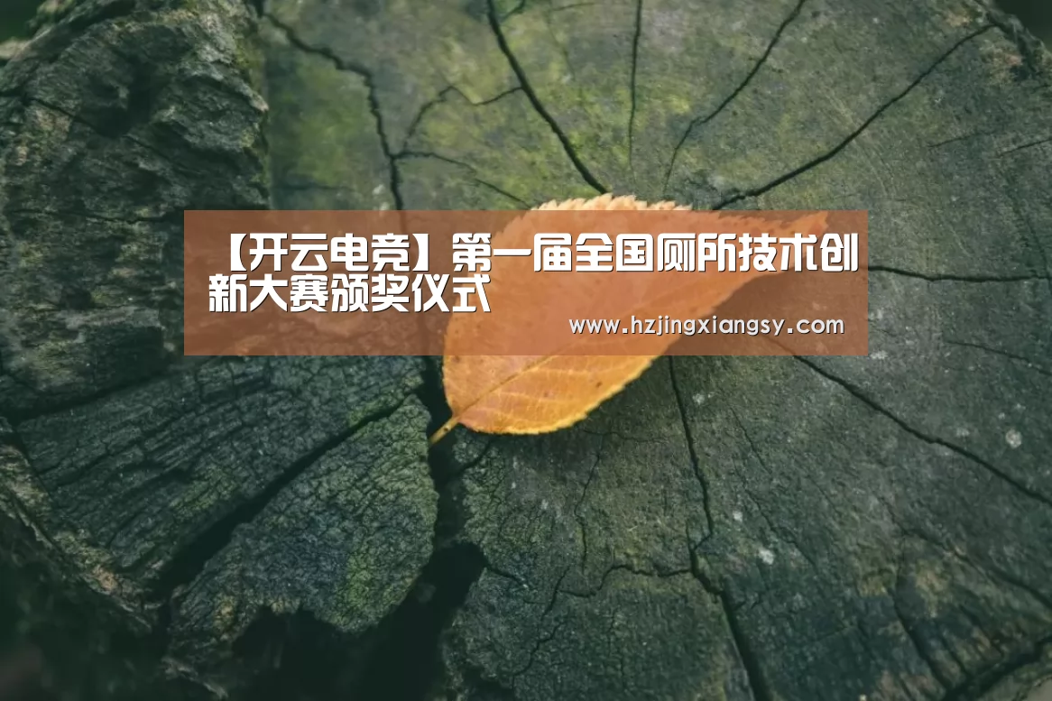 开云电竞app下载安装