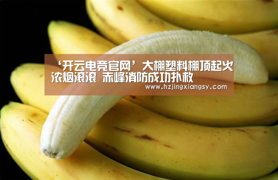 ‘开云电竞官网’大棚塑料棚顶起火浓烟滚滚 赤峰消防成功扑救(图2) 开云电竞app下载安装
