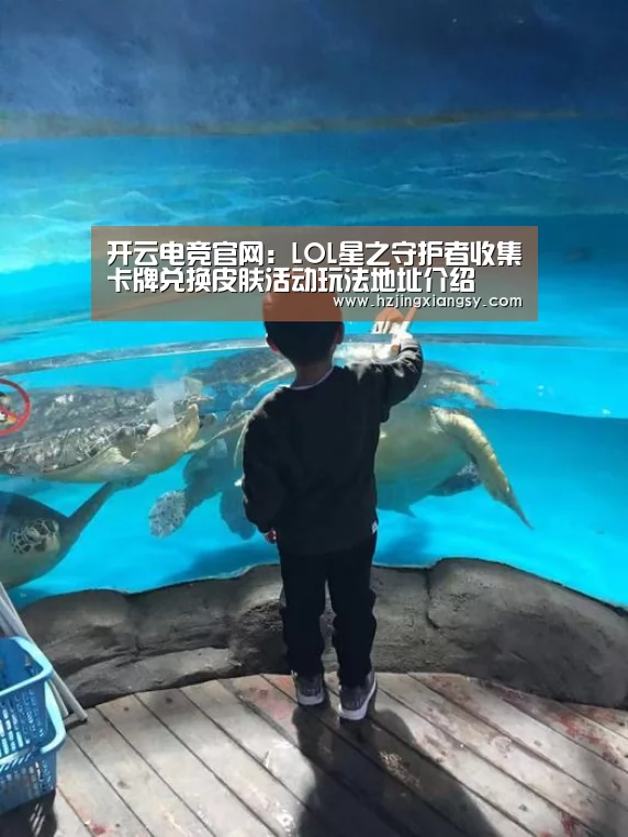 开云电竞